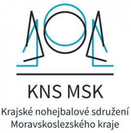 logo_kns_1726708981.jpg
